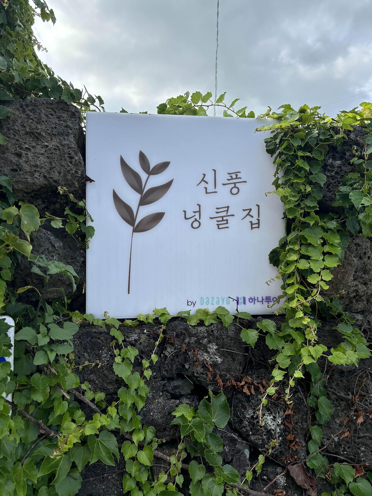 [제주여행] 신풍넝쿨집 후기 – 독채숙소