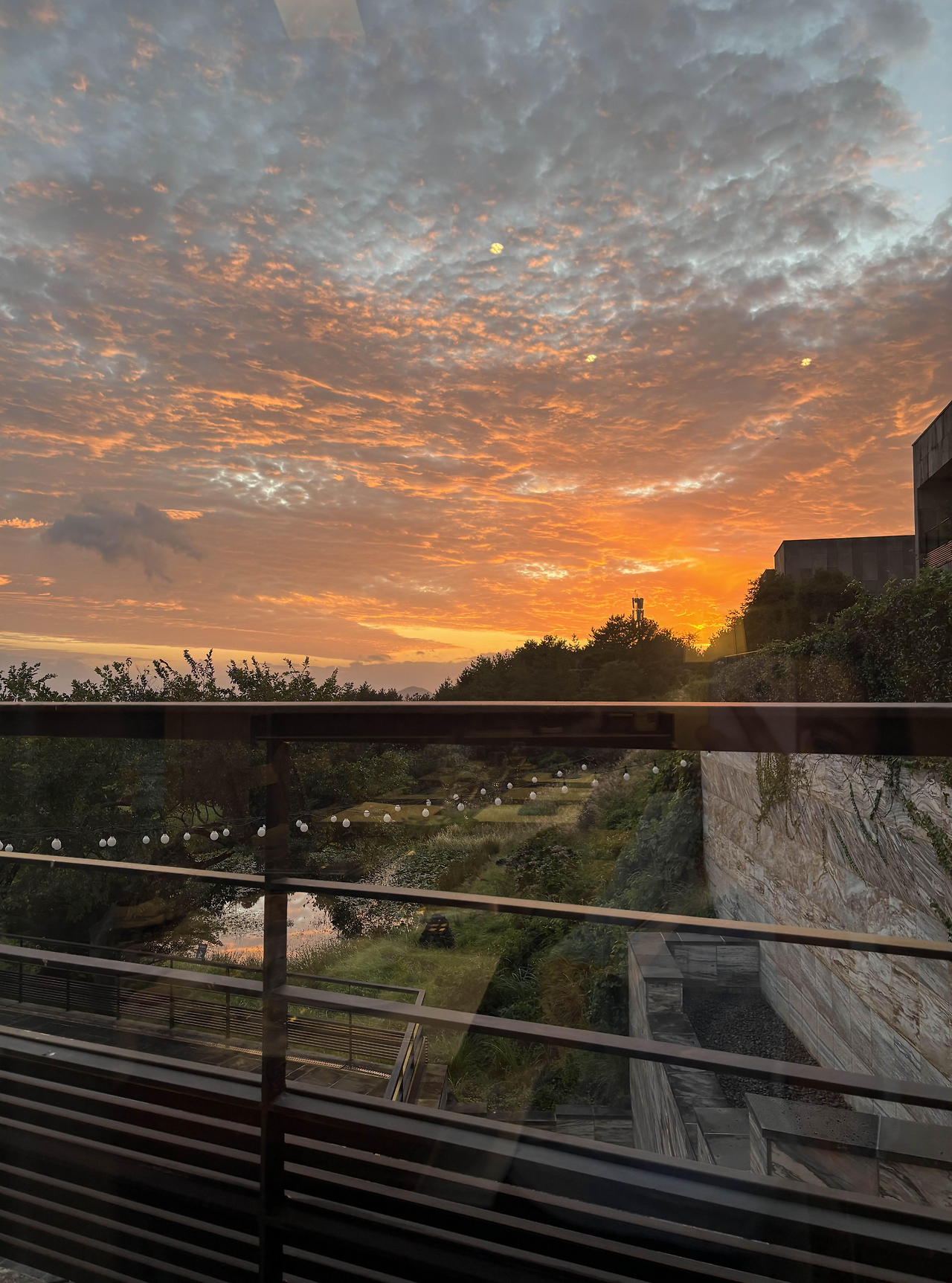 [제주여행] 둘째날 – 오설록티뮤지엄, 곶자왈도립공원, 아트빌라스