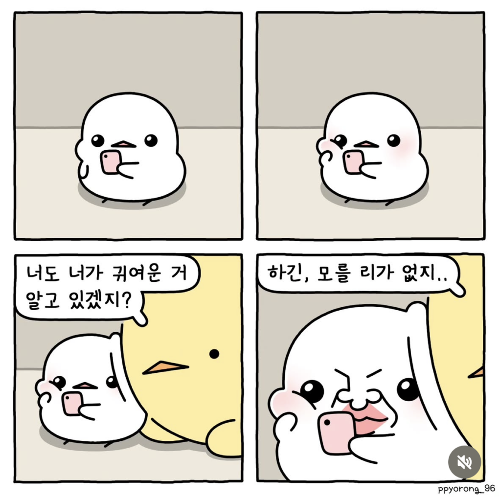 귀여운 나
