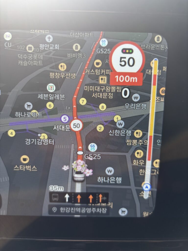 벚꽃 티맵