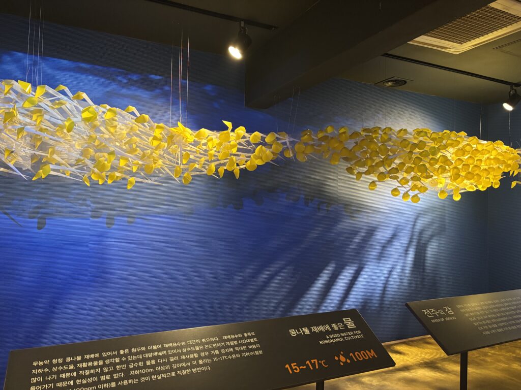 콩나물 박물관