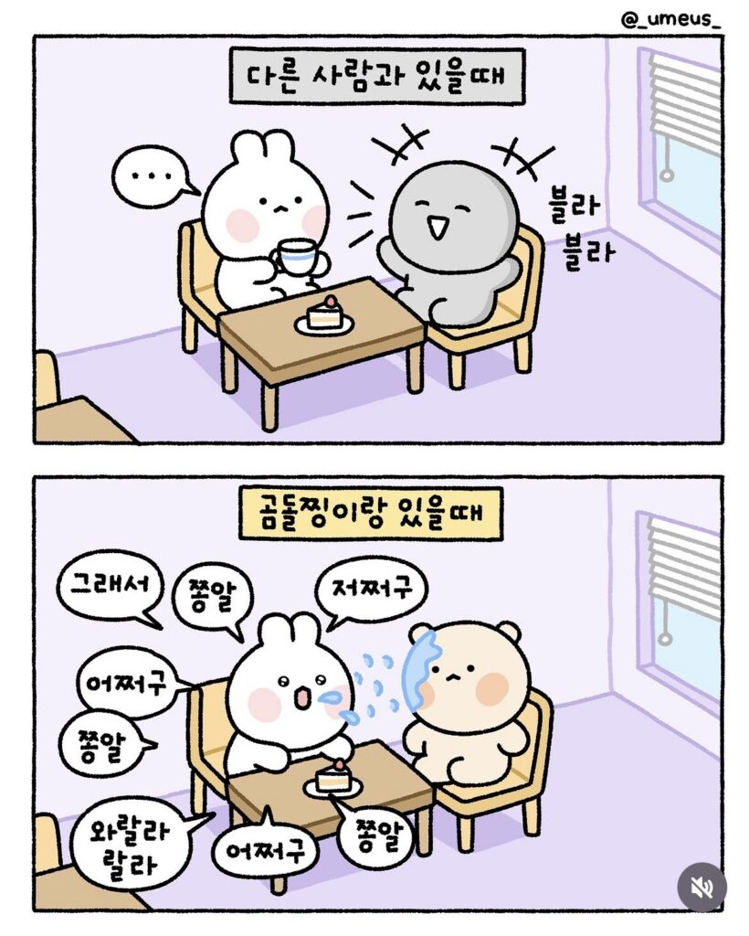 불쌍한 곰찡