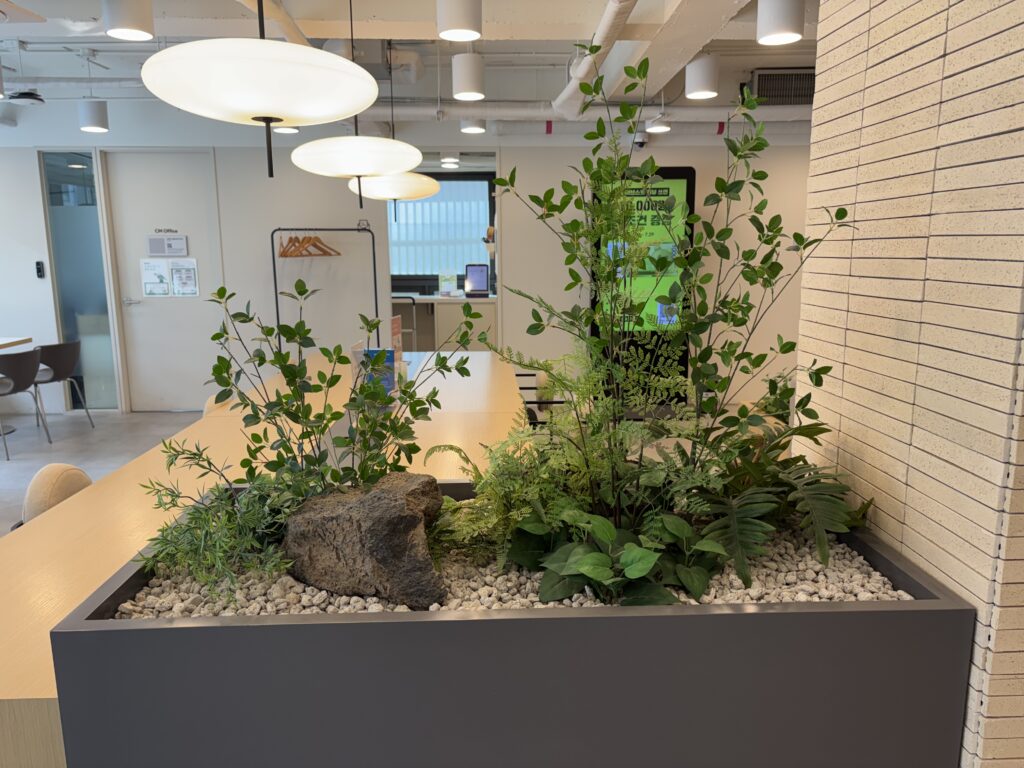 패스트파이브 강남구청1호점의 식물장식