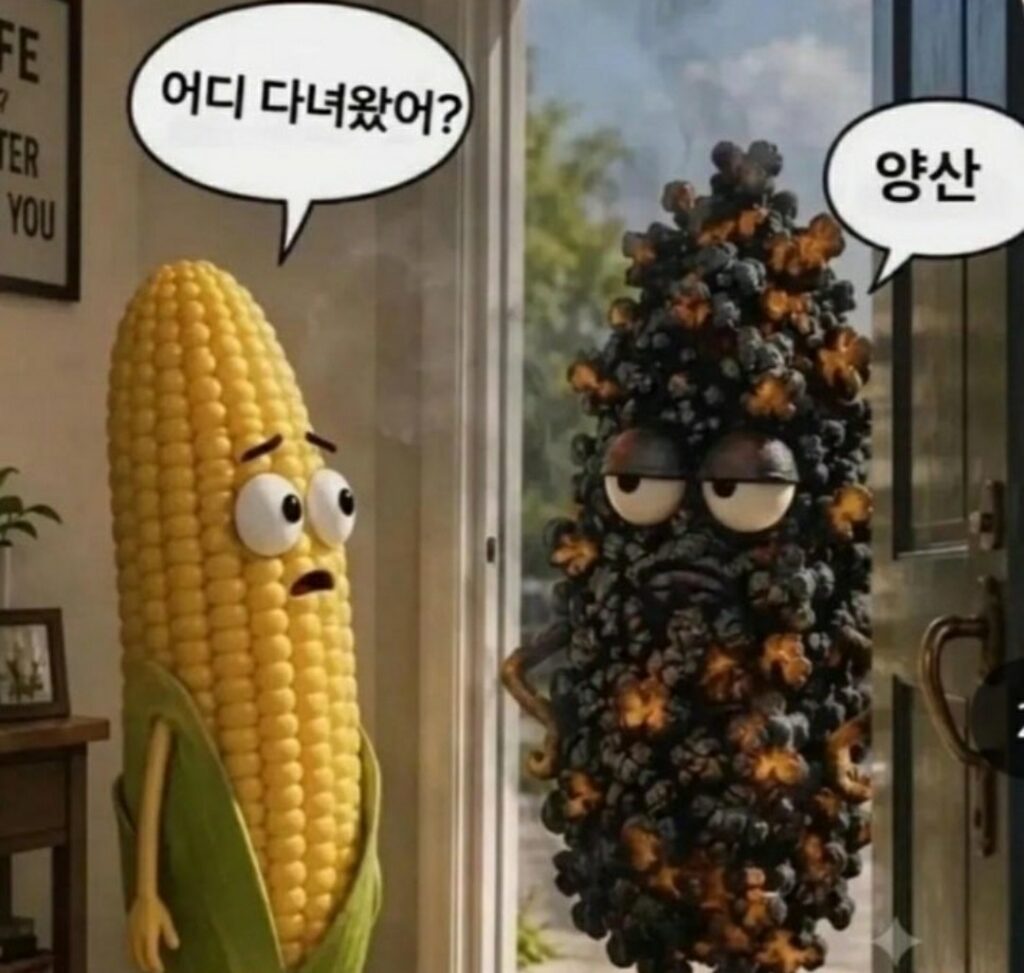 양산시리즈2